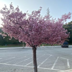 Meet your Posher, Everlyn